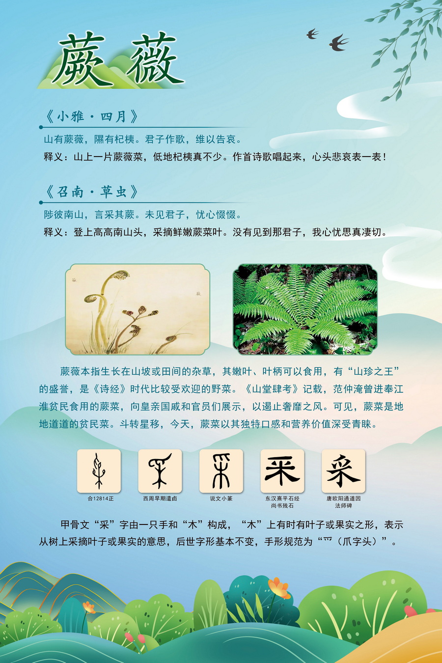 4.蕨薇_調(diào)整大小