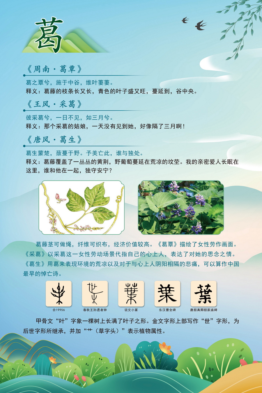 5.葛_調(diào)整大小