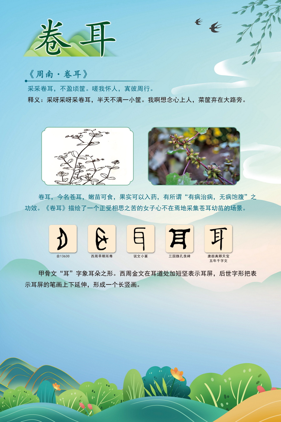 6.卷耳_調(diào)整大小