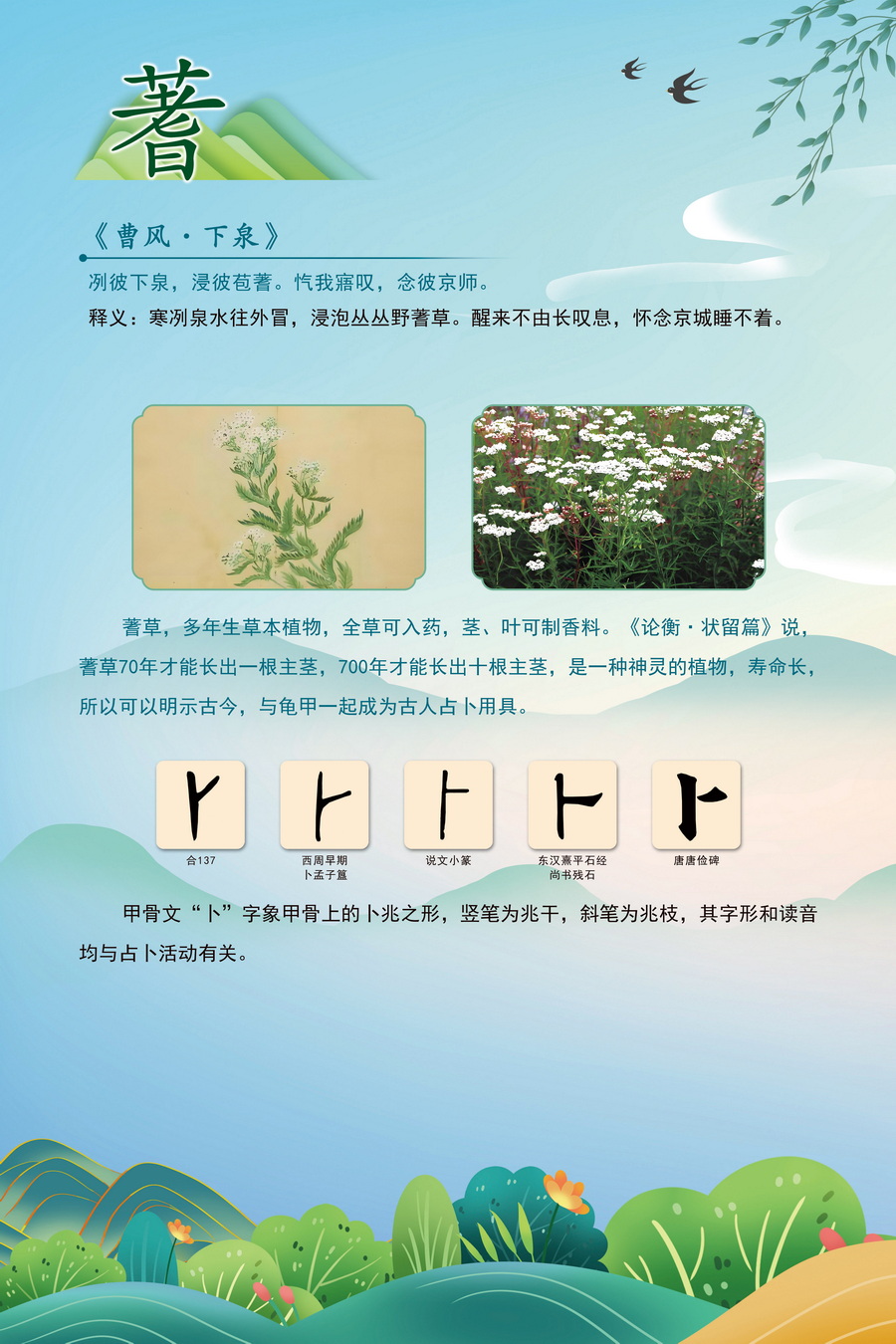 8.蓍_調(diào)整大小